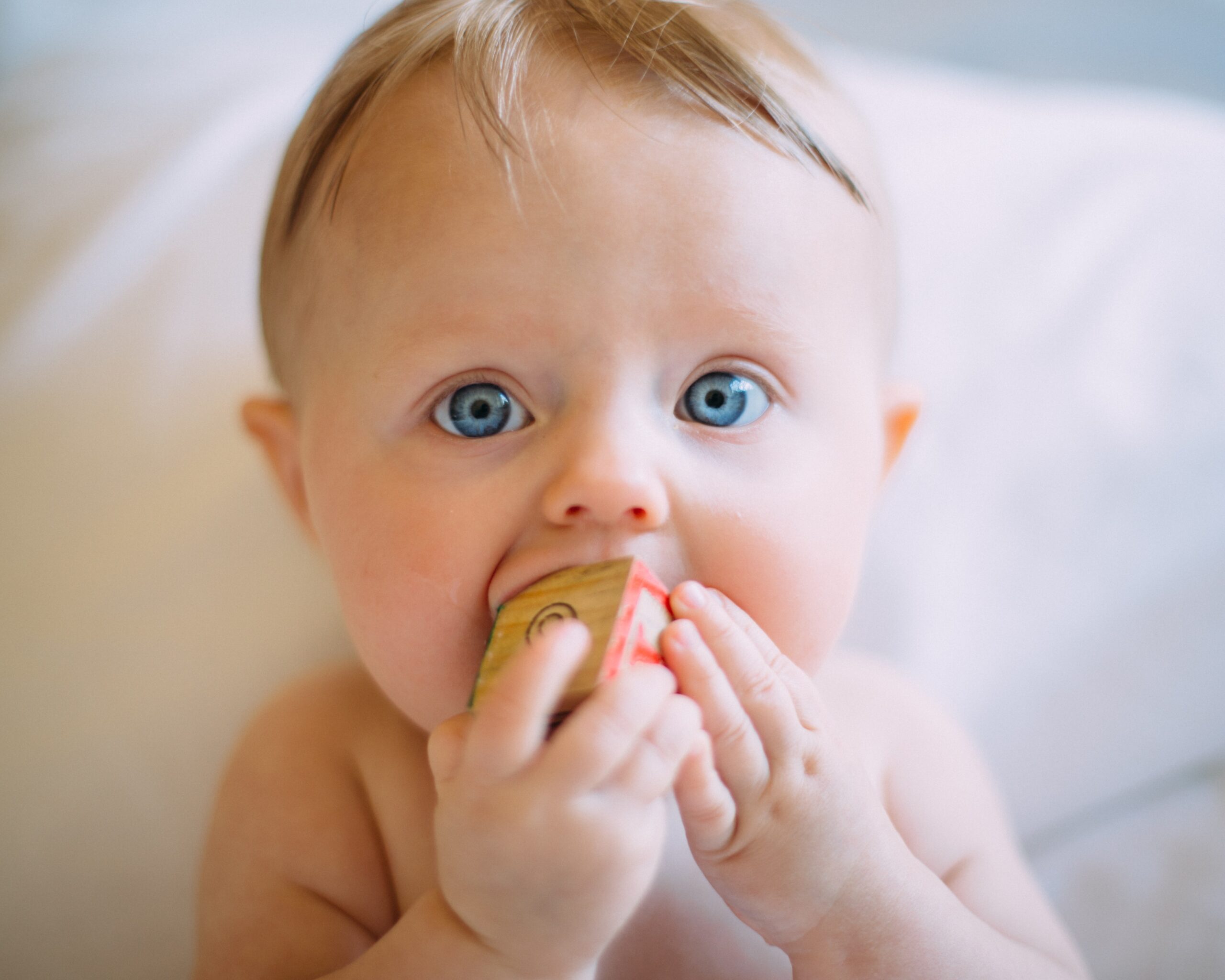 Photograph of a blue-eyed caucasian baby chewing on a wooden block